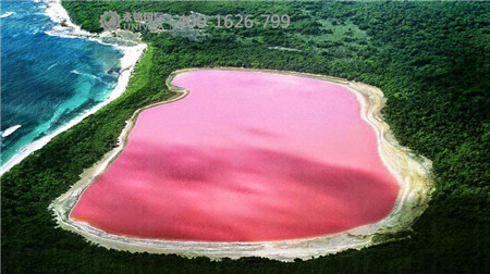 粉紅色的湖你見(jiàn)過(guò)嗎 來(lái)澳洲吧！